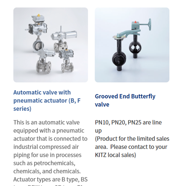 KITZ日本開滋閥門、10K電動蝶閥EXS100-10DJUE-250A