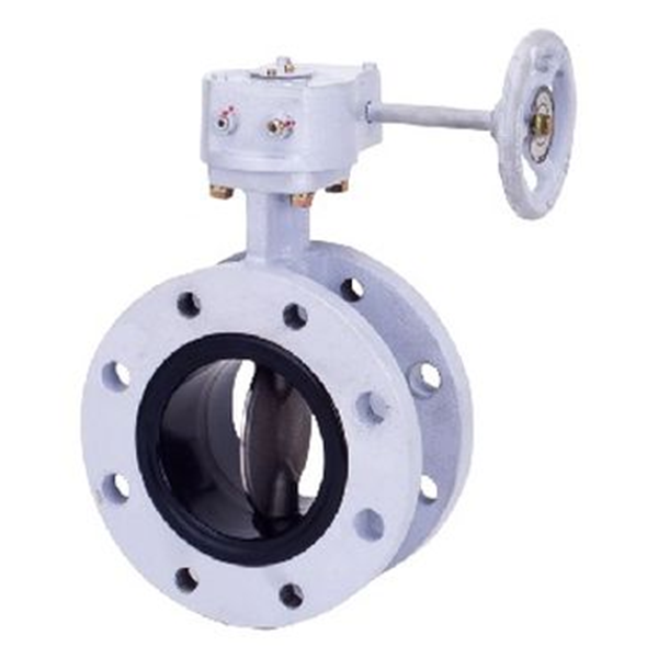 KITZ開滋閥門\10K杠桿式不銹鋼蝶閥B-10UB-250A