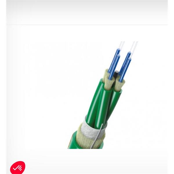 英國scaime兩端帶法蘭緊湊扭矩計DF2553-10Nm