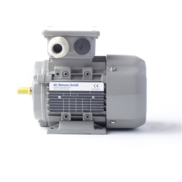 德國(guó)AC MOTOREN防火防爆電機(jī)E3-ASA 132 M 4